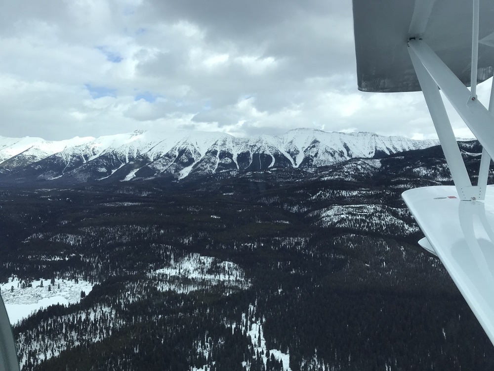 Super Petrel Delivery Montana